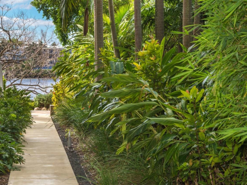 5  /82 Macquarie Street, St Lucia , QLD  4067 Australia